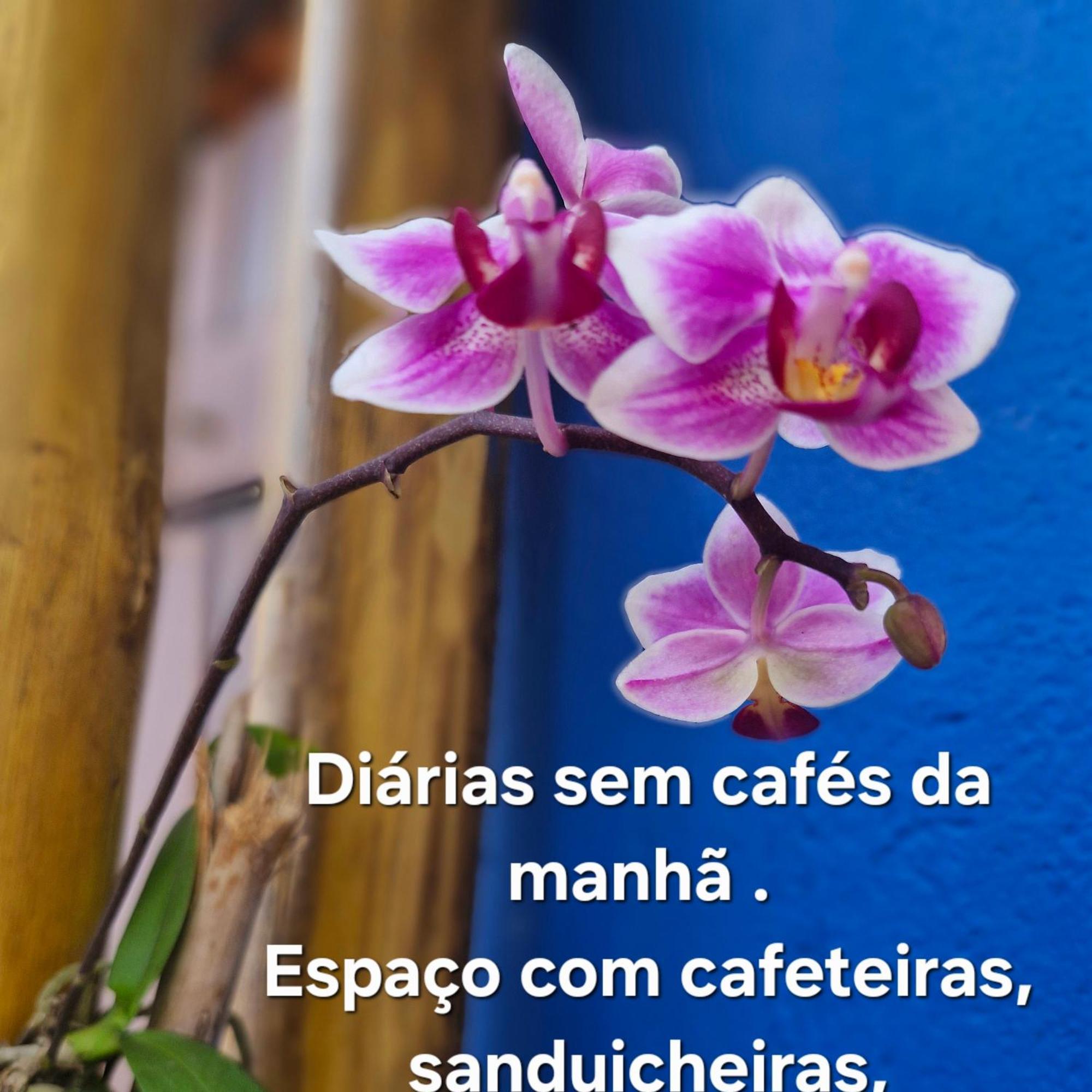 A Ver O Mar Suites Cocanha كاراغواتاتوبا المظهر الخارجي الصورة